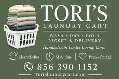 Tori’s Laundry Cart